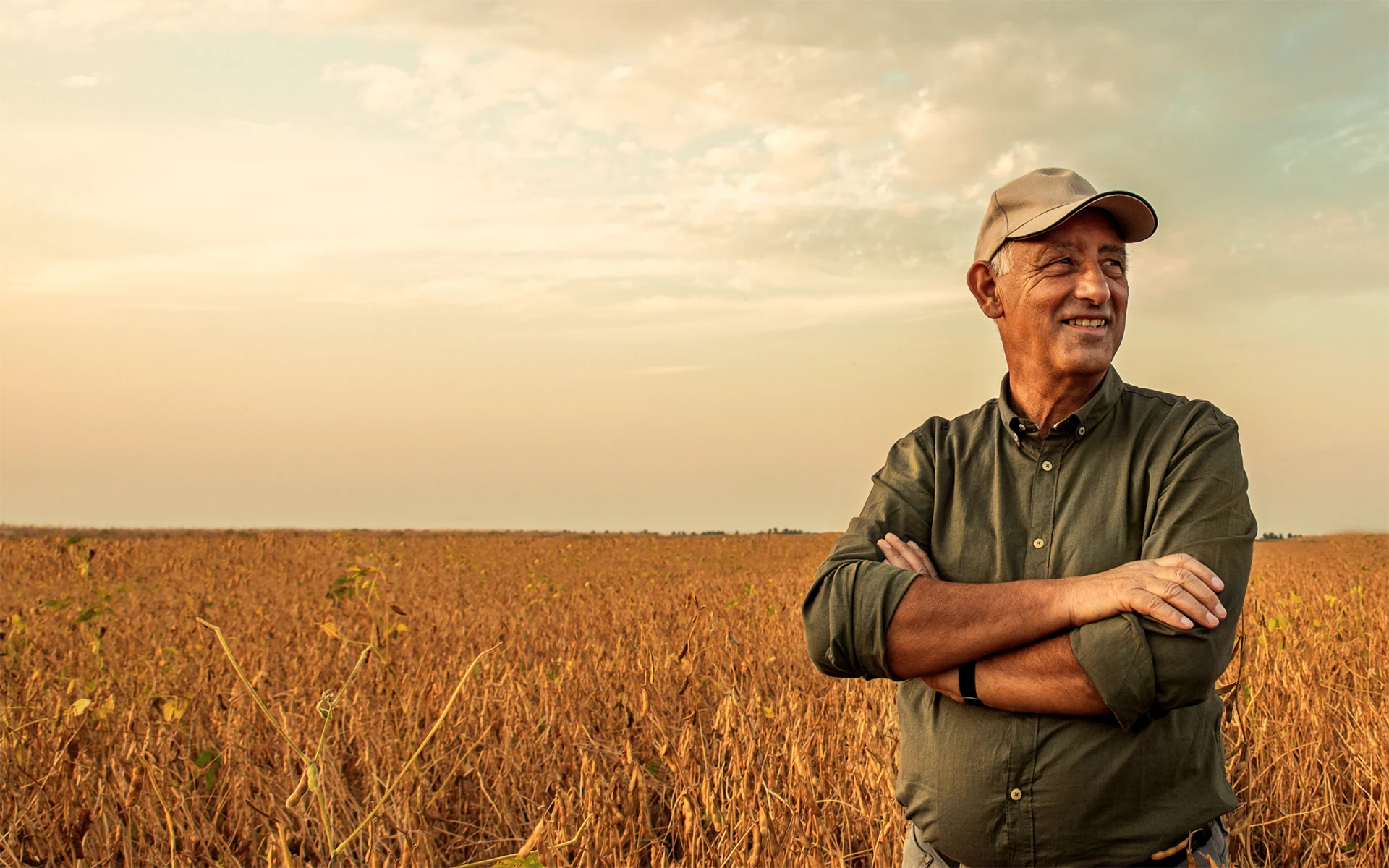 USA Rice Çiftçisi
